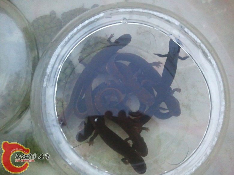 2011-09-30 17.51.11_副本.jpg