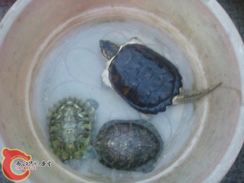 2011-09-30 17.51.27_副本.jpg