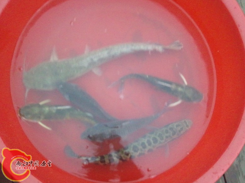 2011-09-30 17.51.39_副本.jpg