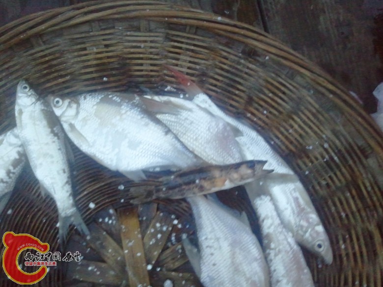 2011-09-30 17.52.07_副本.jpg