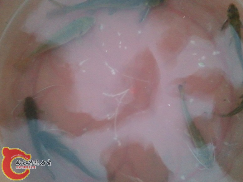 2011-09-30 17.52.14_副本.jpg