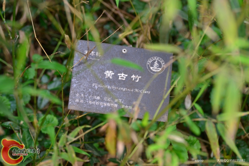 conew_20110925_516.jpg