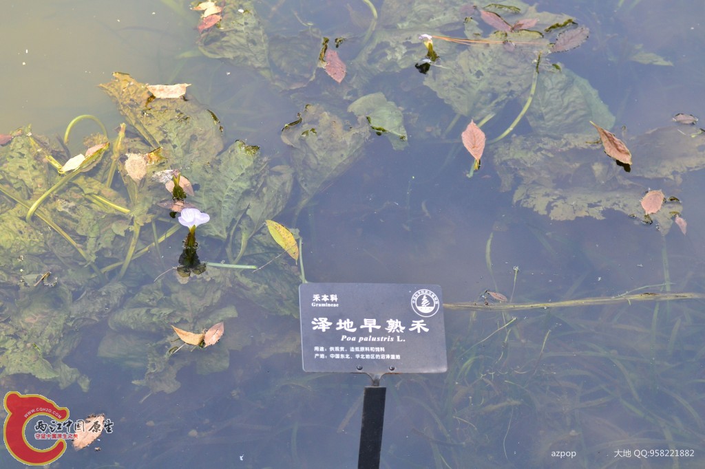 conew_20110925_544.jpg