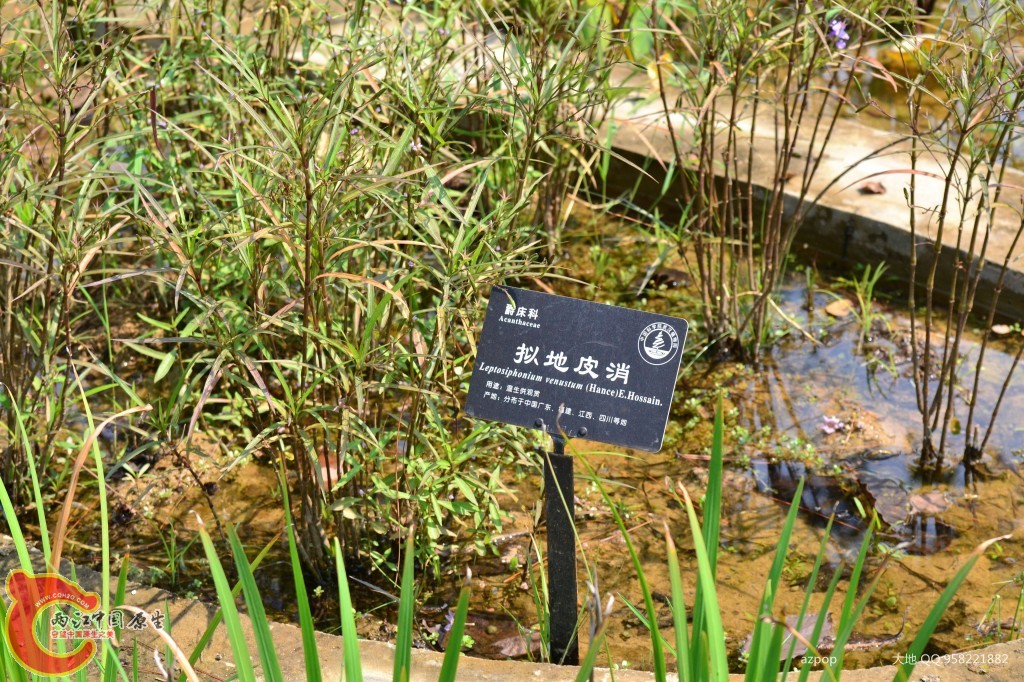 conew_20110925_577.jpg