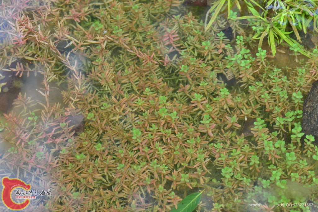 conew_20110925_587.jpg