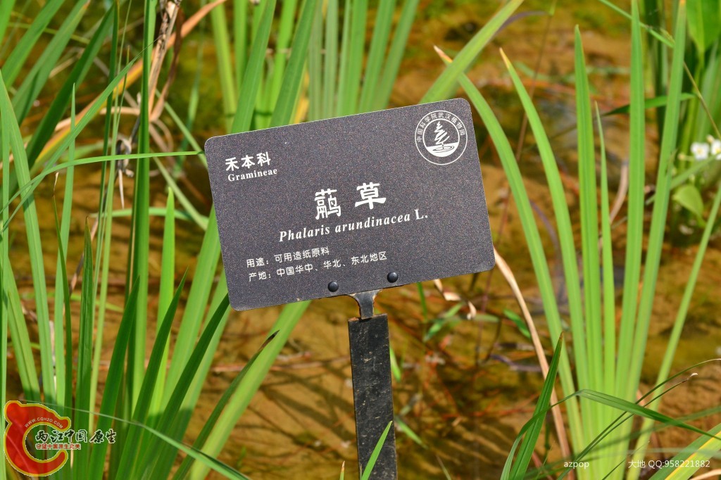 conew_20110925_588.jpg