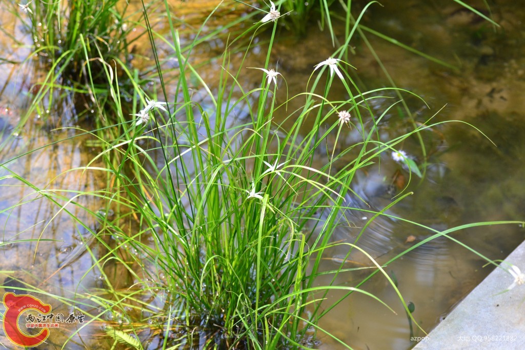 conew_20110925_601.jpg