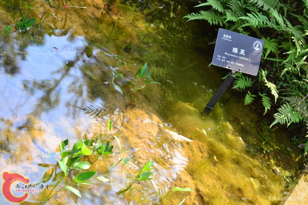 conew_20110925_610.jpg
