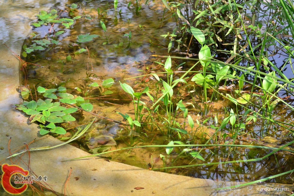 conew_20110925_614.jpg