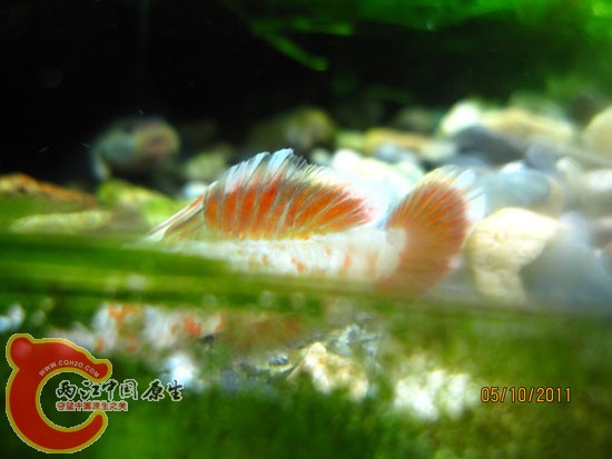 9IMG_7043.JPG
