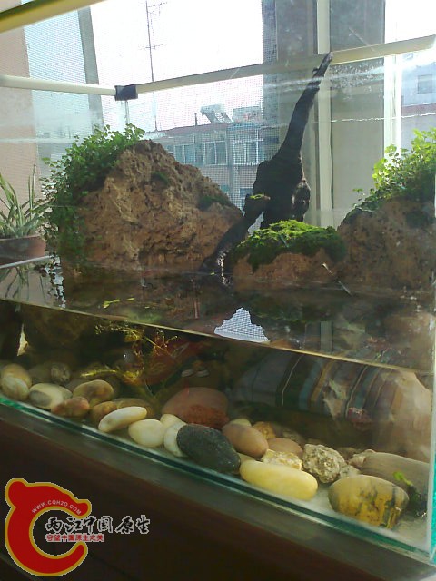照片0265.jpg