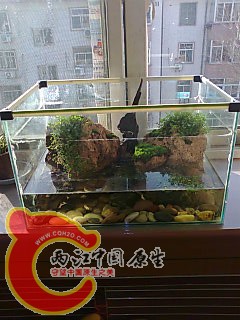 照片0271.jpg
