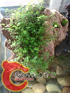 照片0272.jpg