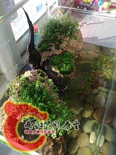 照片0273.jpg