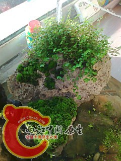 照片0274.jpg
