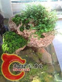 照片0276.jpg
