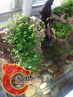 照片0278.jpg