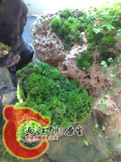 照片0279.jpg