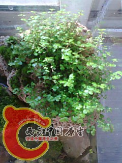 照片0280.jpg