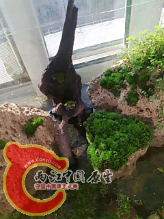 照片0281.jpg