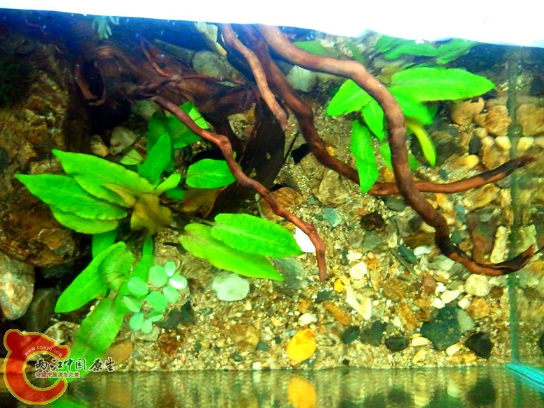 2011-11-13 22.48.35_副本.jpg