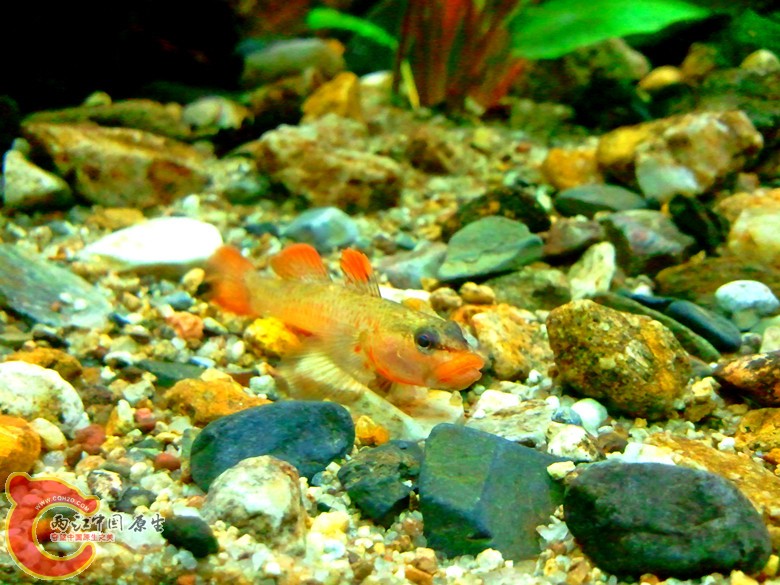 2011-11-13 22.50.01_副本.jpg