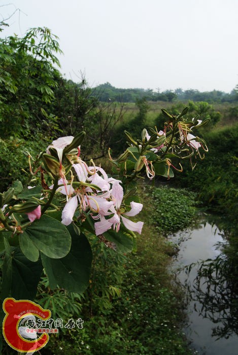 05.jpg