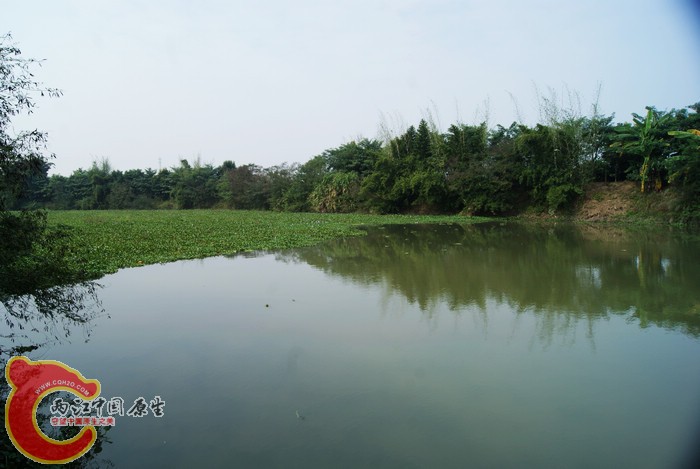 08.jpg