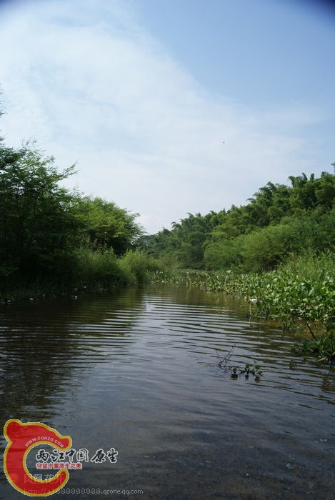 37a.jpg