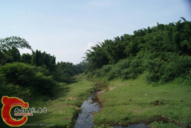 42a.jpg
