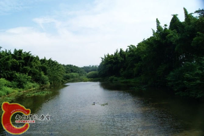 43a.jpg