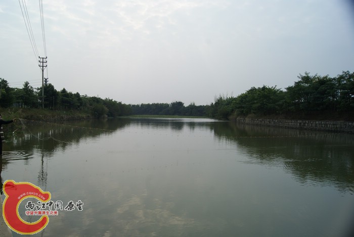 53.jpg