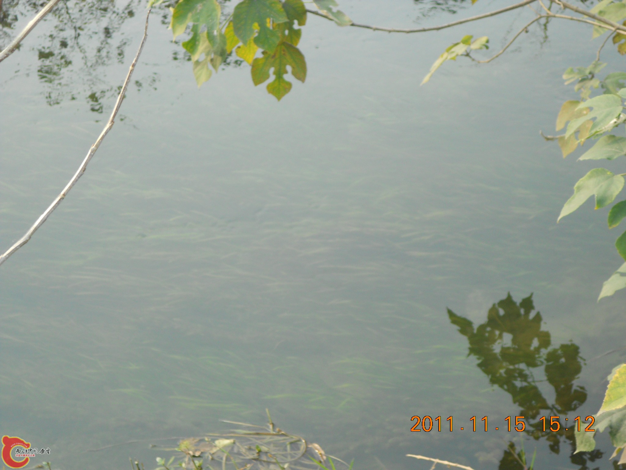 DSCN2125.JPG