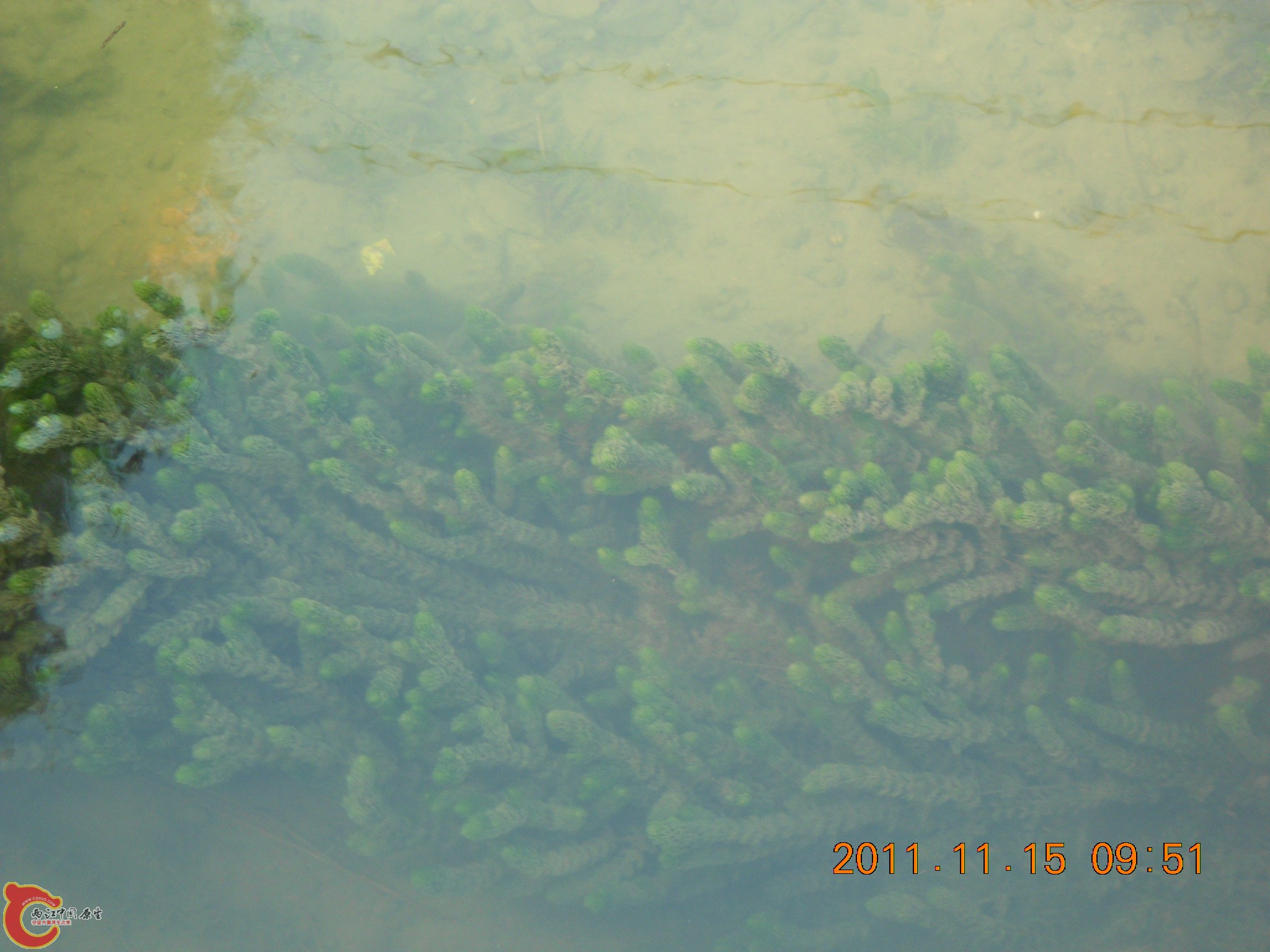 DSCN2095.JPG