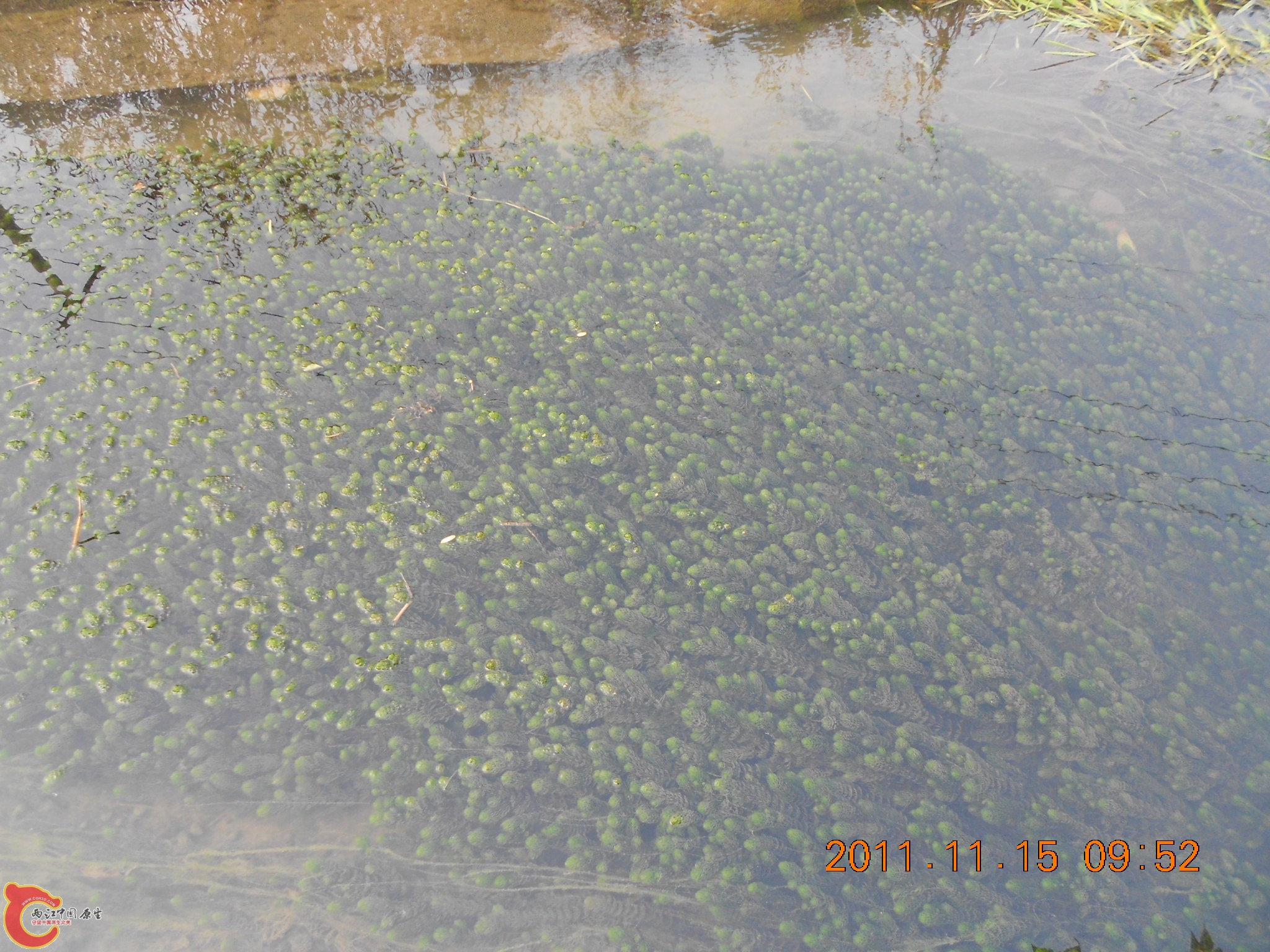 DSCN2097.JPG