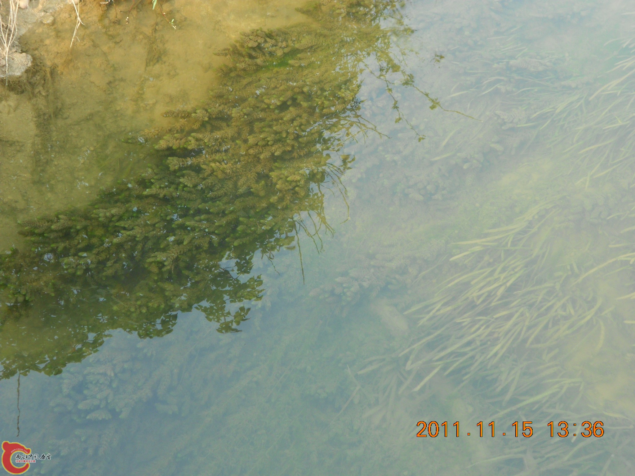 DSCN2098.JPG
