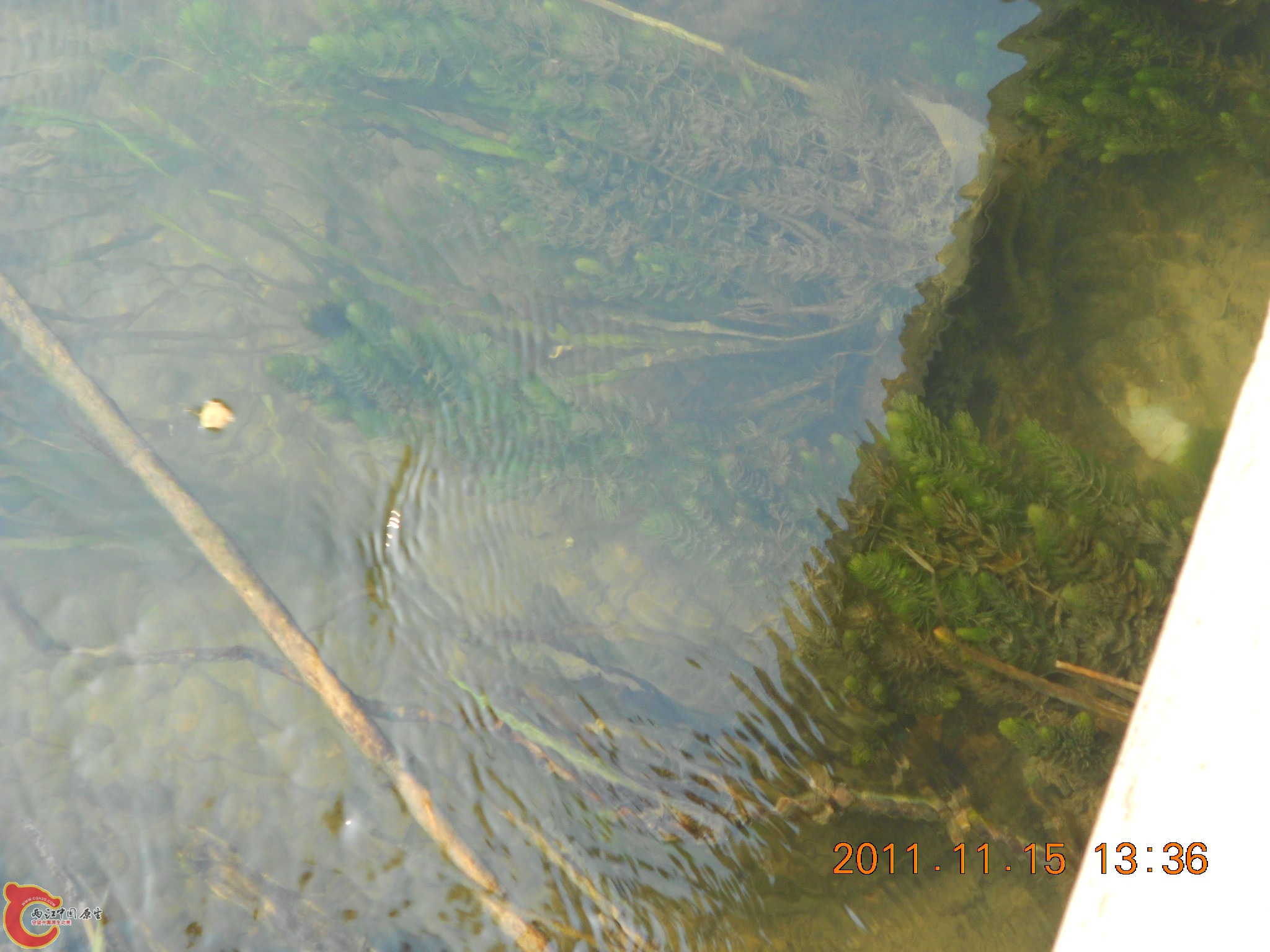 DSCN2099.JPG
