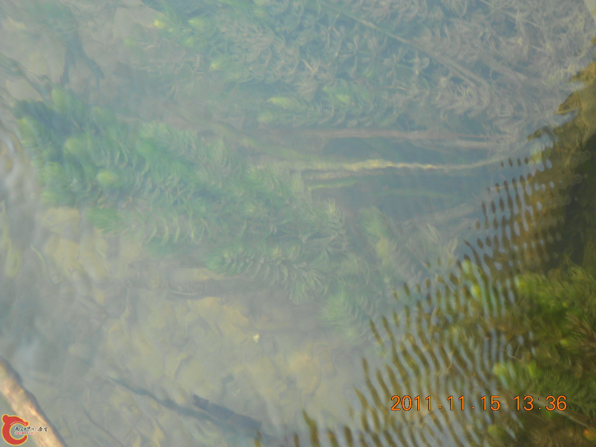DSCN2100.JPG