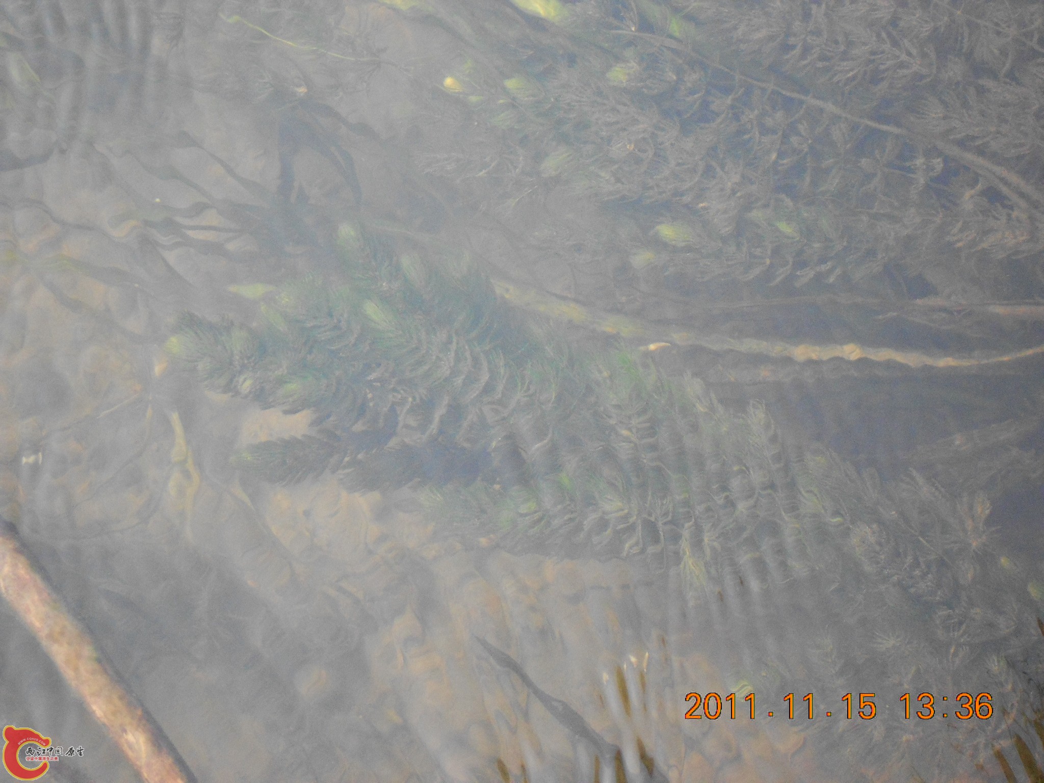 DSCN2101.JPG
