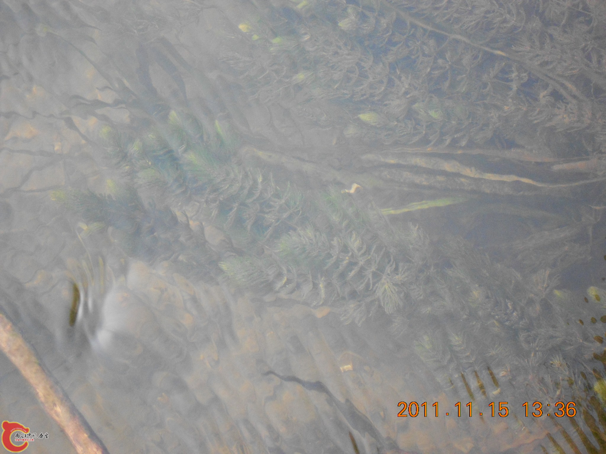 DSCN2102.JPG