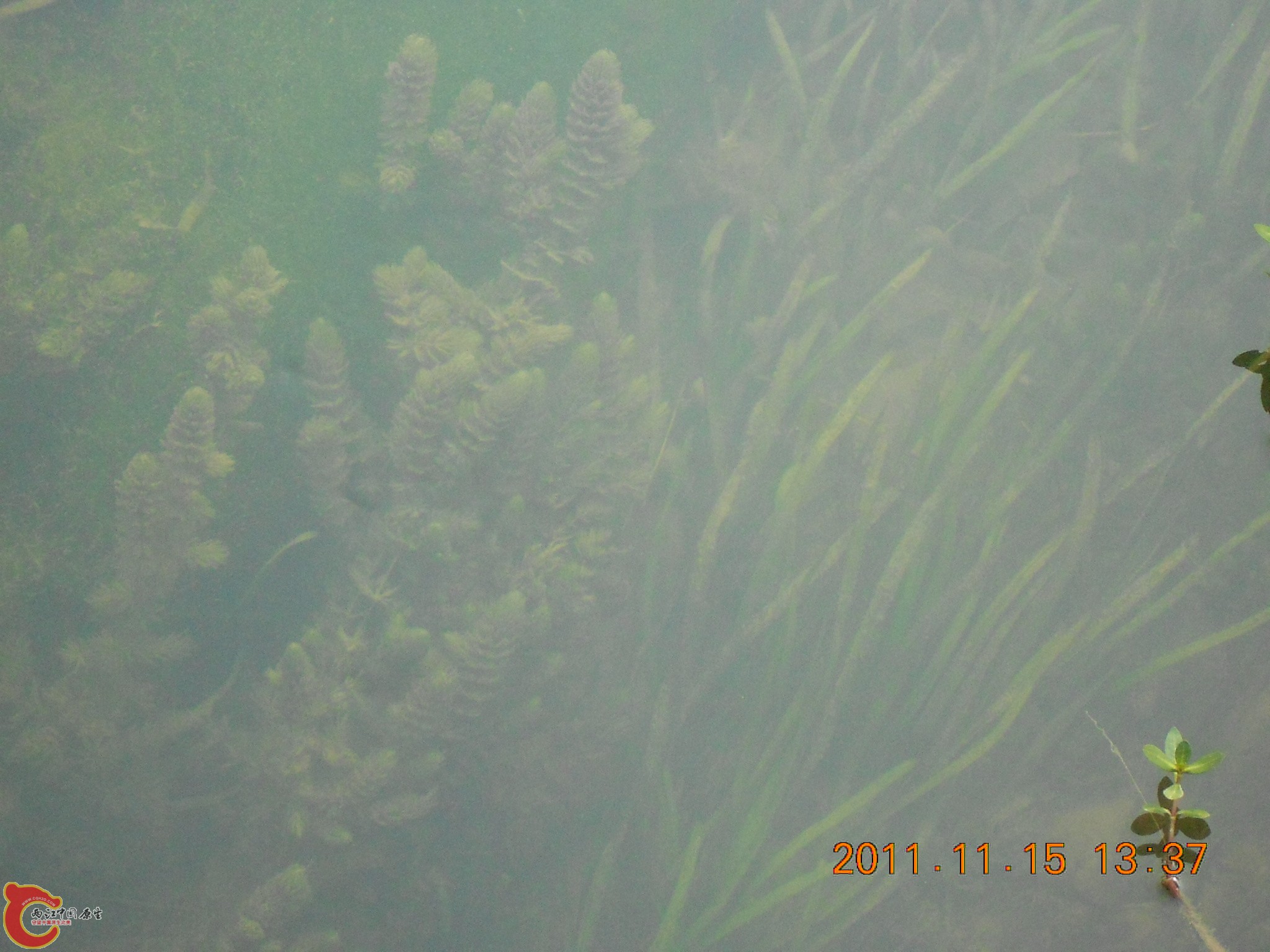 DSCN2103.JPG