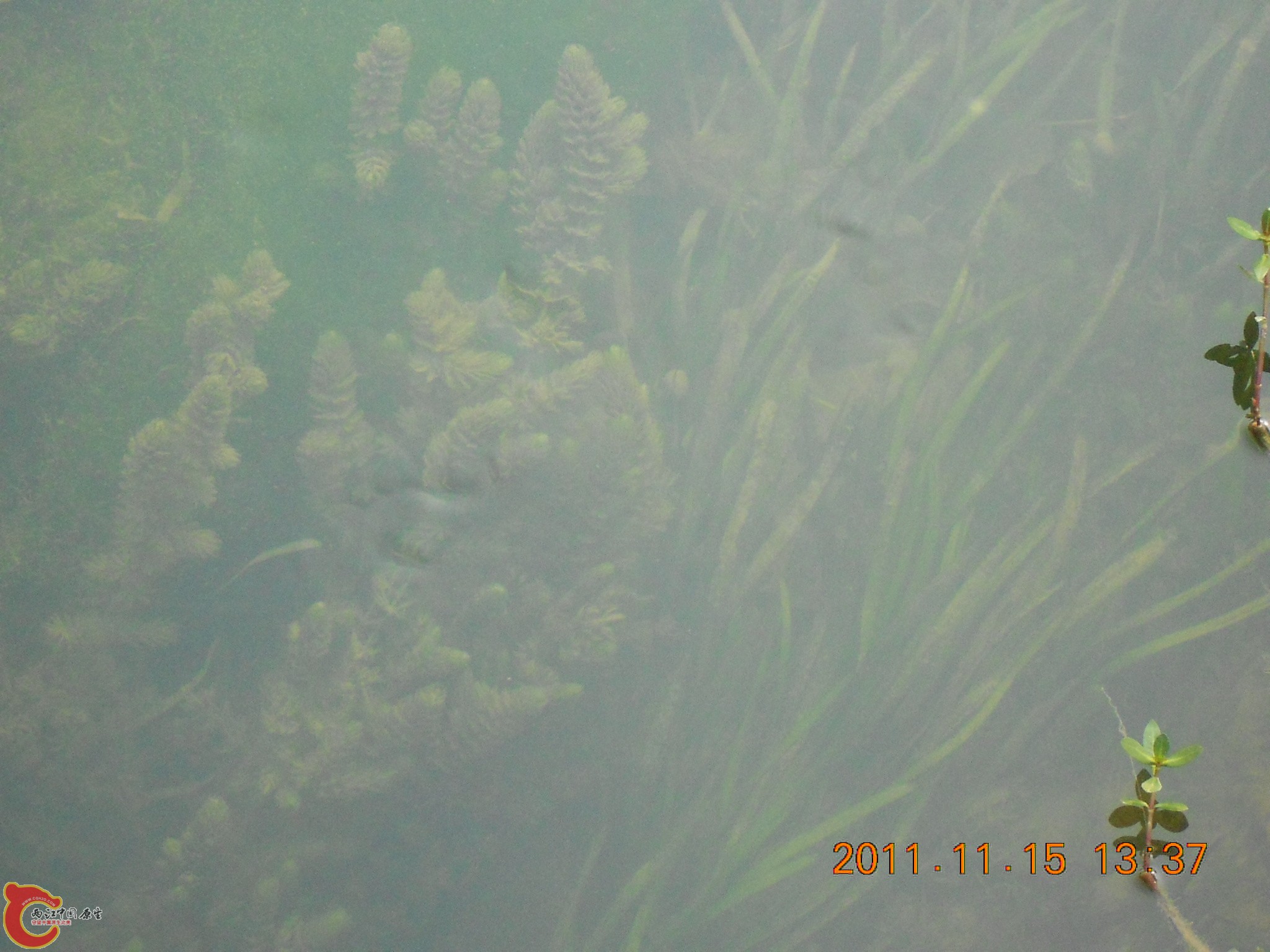 DSCN2104.JPG
