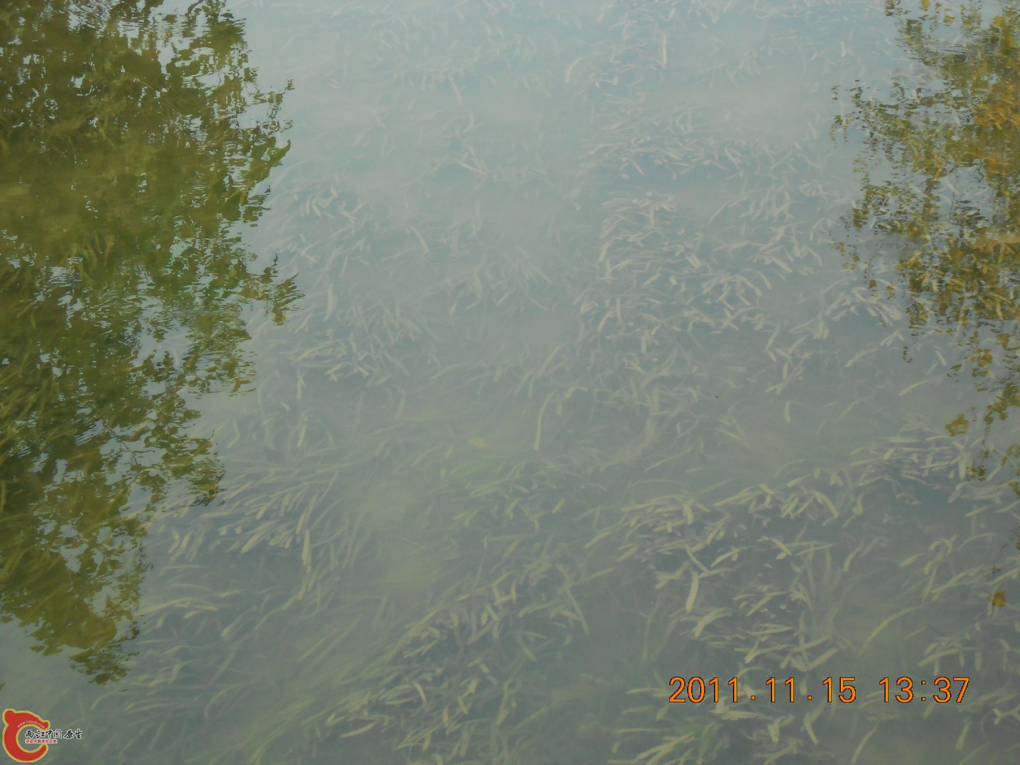 DSCN2105.JPG