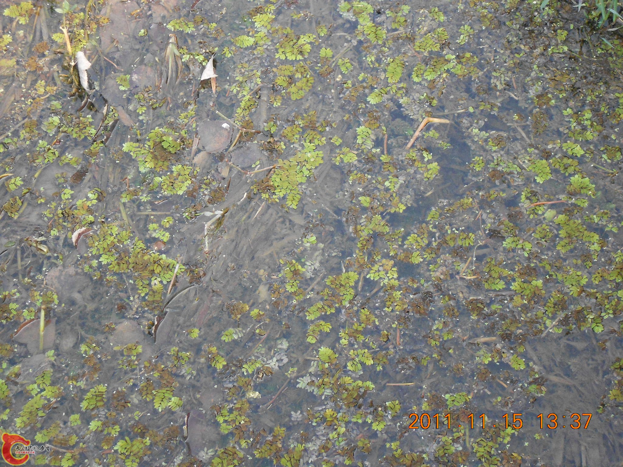 DSCN2107.JPG