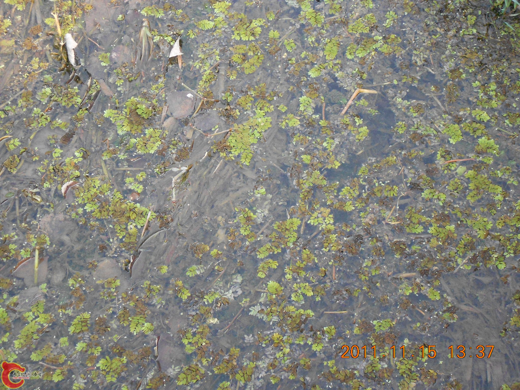 DSCN2108.JPG