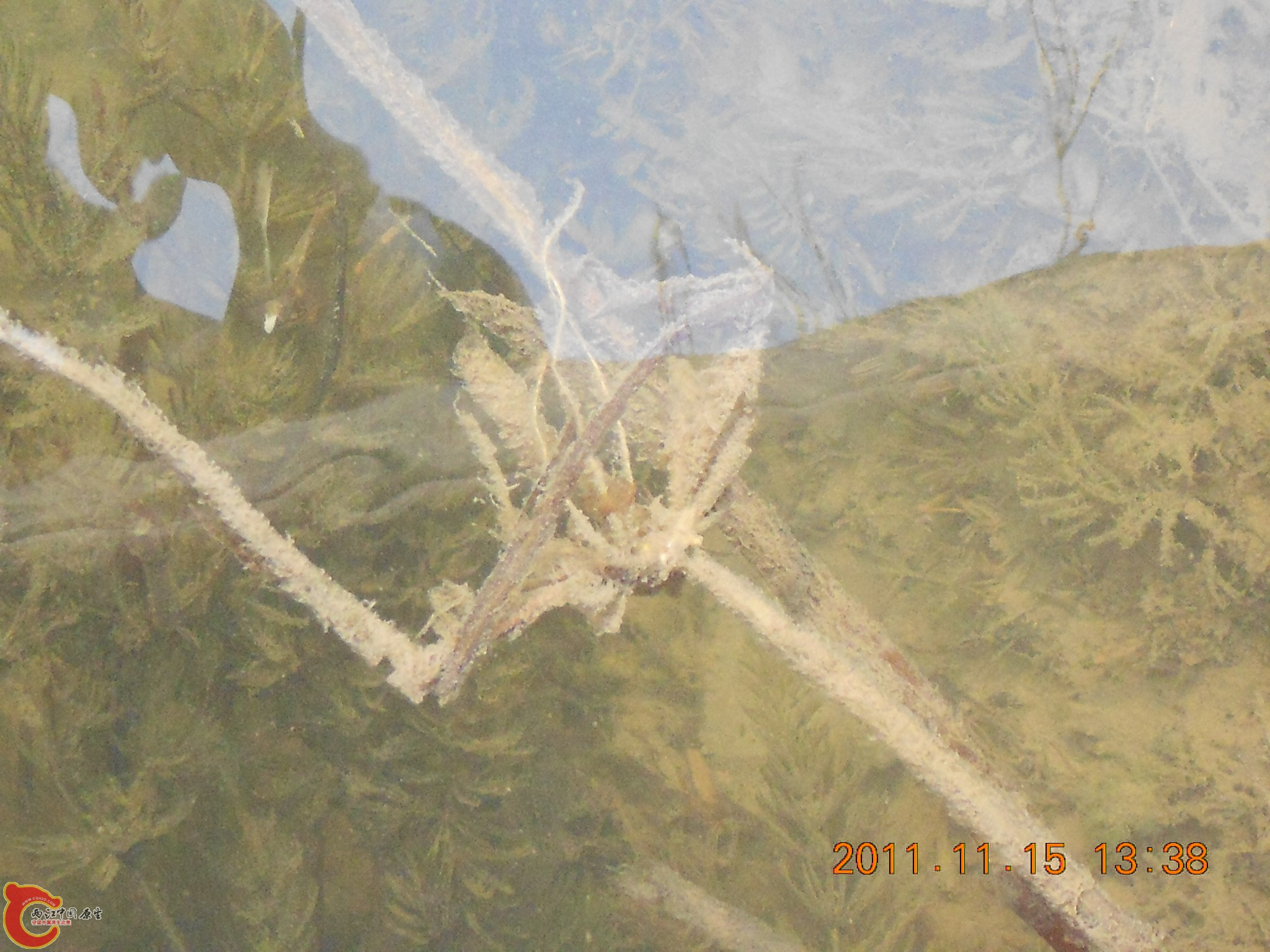 DSCN2109.JPG