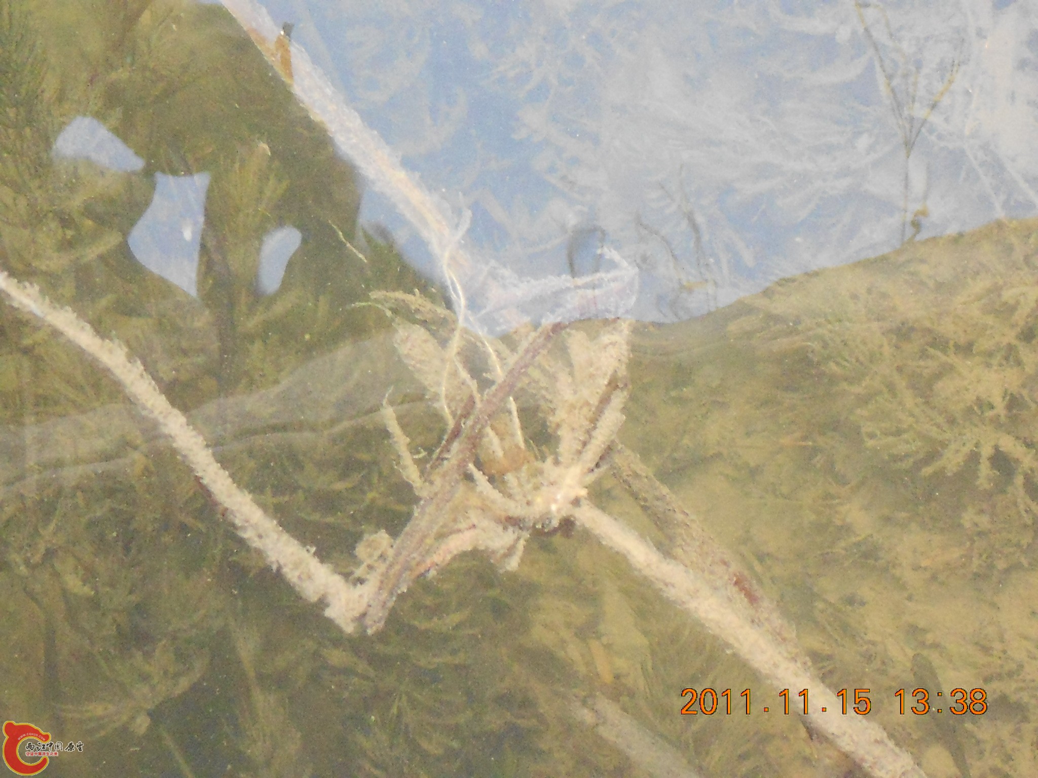 DSCN2110.JPG