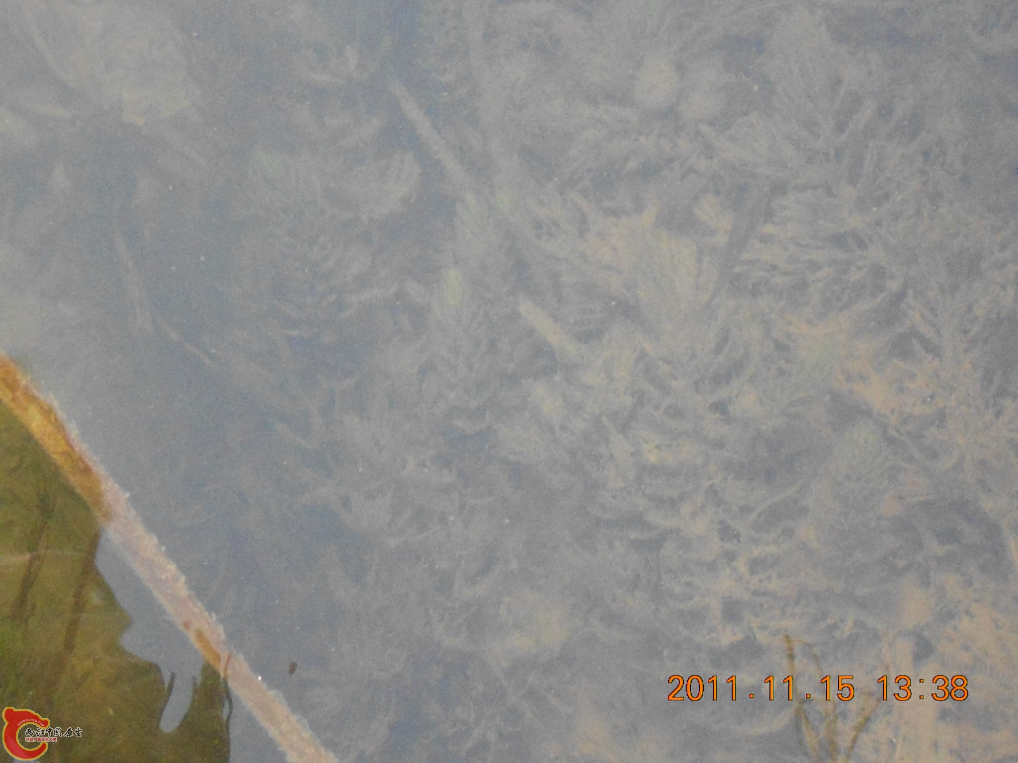 DSCN2111.JPG