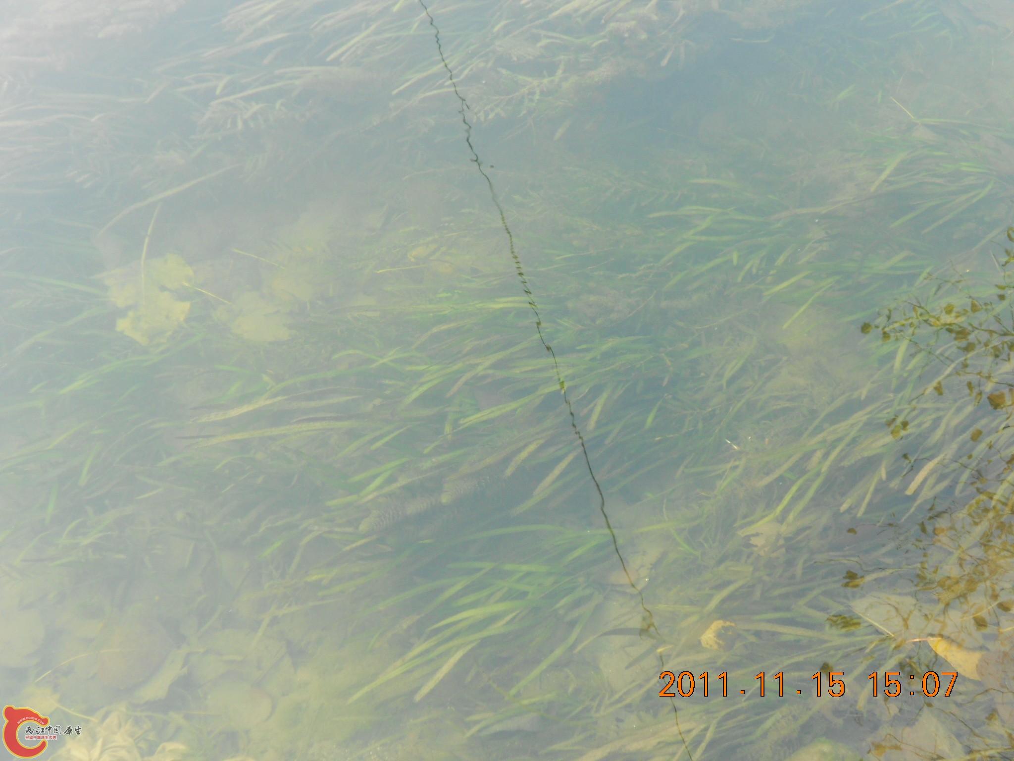 DSCN2113.JPG
