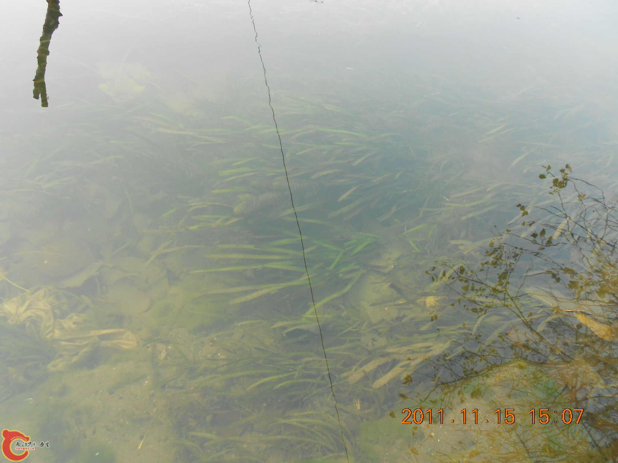 DSCN2114.JPG